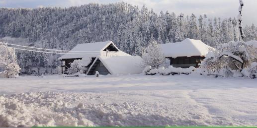 Residential areas are covered with snow at Zurhama village after the village witnessed heavy snowfall, in Kupwara on Friday.
